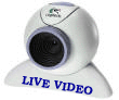live bird webcam video